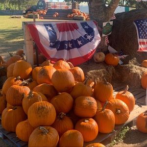 Meet your Posher, Bre